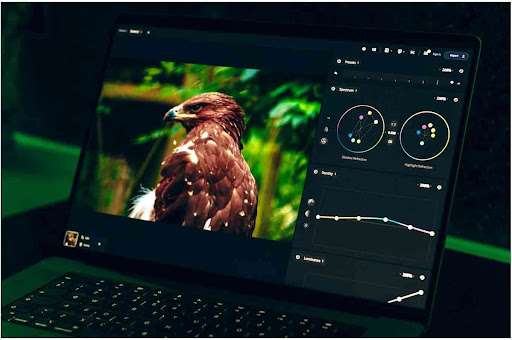 Why Rich Media is Essential for Online Branding